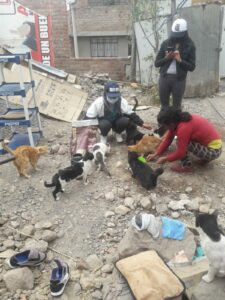 Erika junto a sus hijos rescataron felinos de la calles y especialmente de la plataforma comercial Andrés Avelino Cáceres.