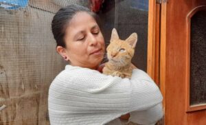 Pepe, fue rescatado de las calles por Erika. Ahora, tiene una numerosa familia y su condición no le impide jugar con los otros gatitos. 